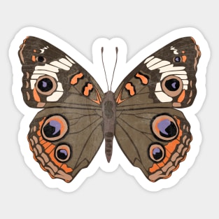 Buckeye Butterfly Sticker